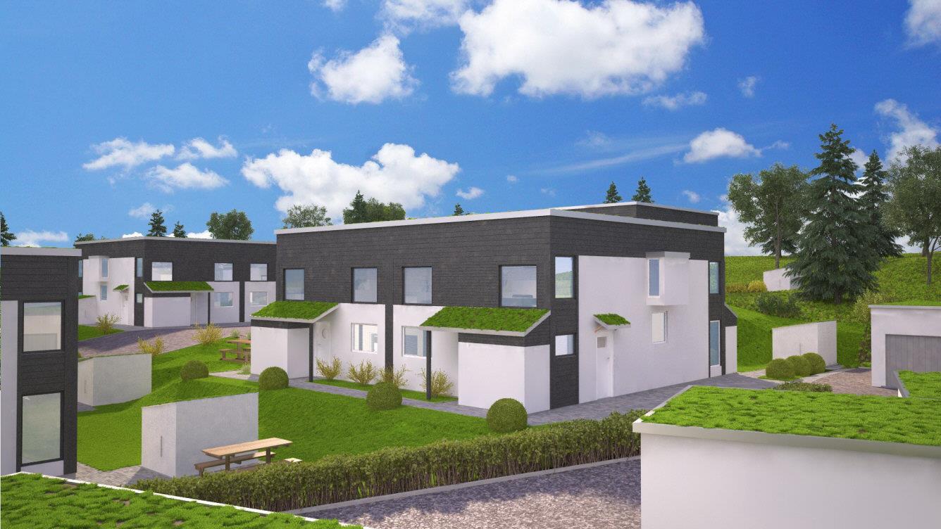 10 SNYGGA PARVILLOR (endast 1 hus kvar)