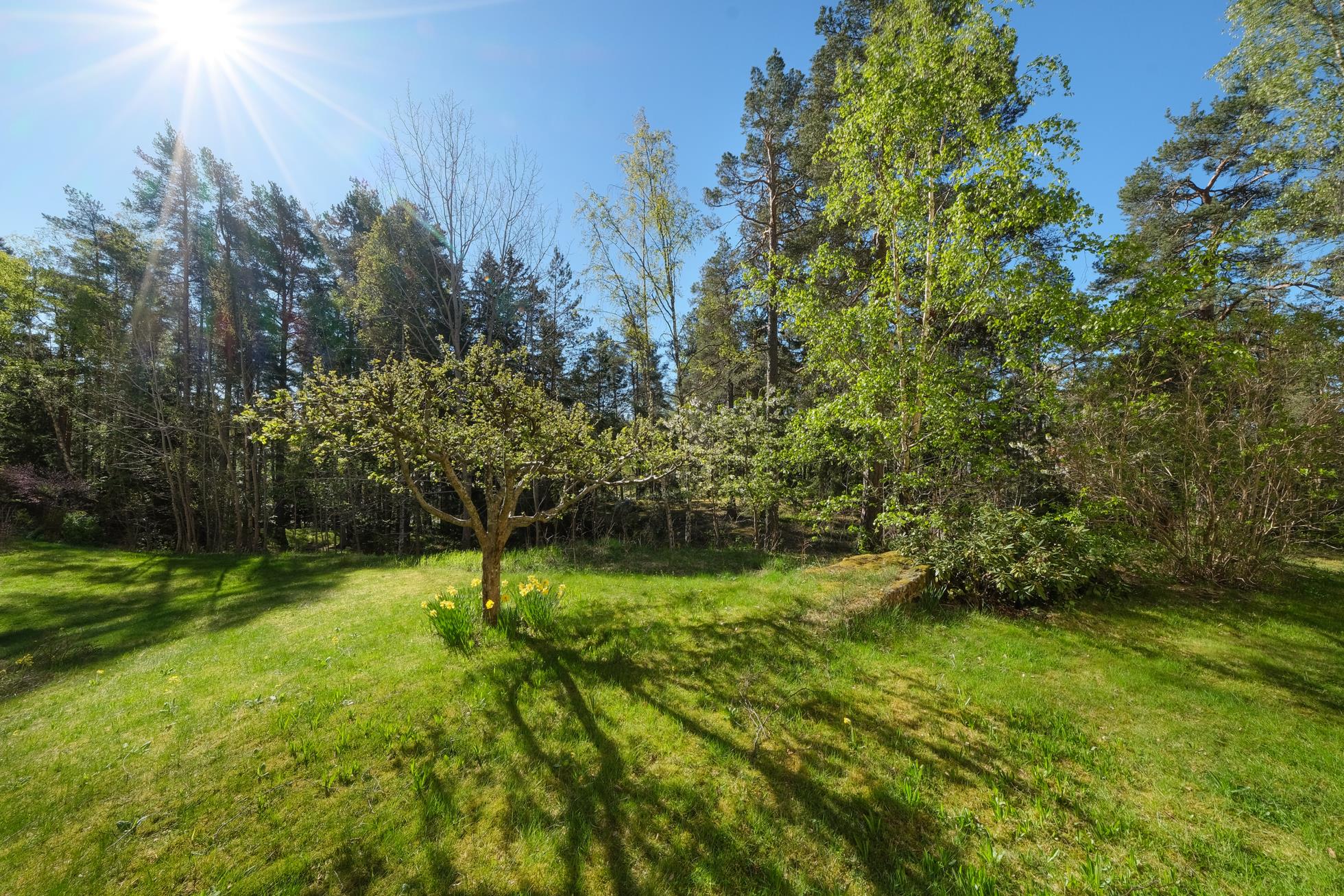 Välplanerad 3/4:a i högt och soligt gavelläge med rymlig balkong mot skogsallmänning