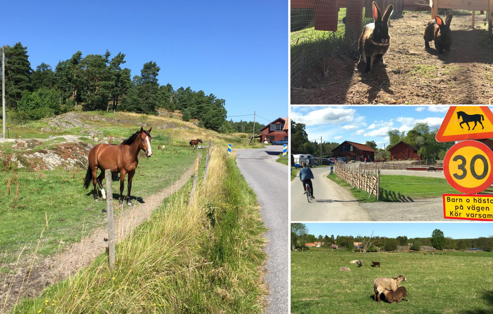 Äntligen är ett av få 1-plans gavelradhus på 89 kvm till salu!
