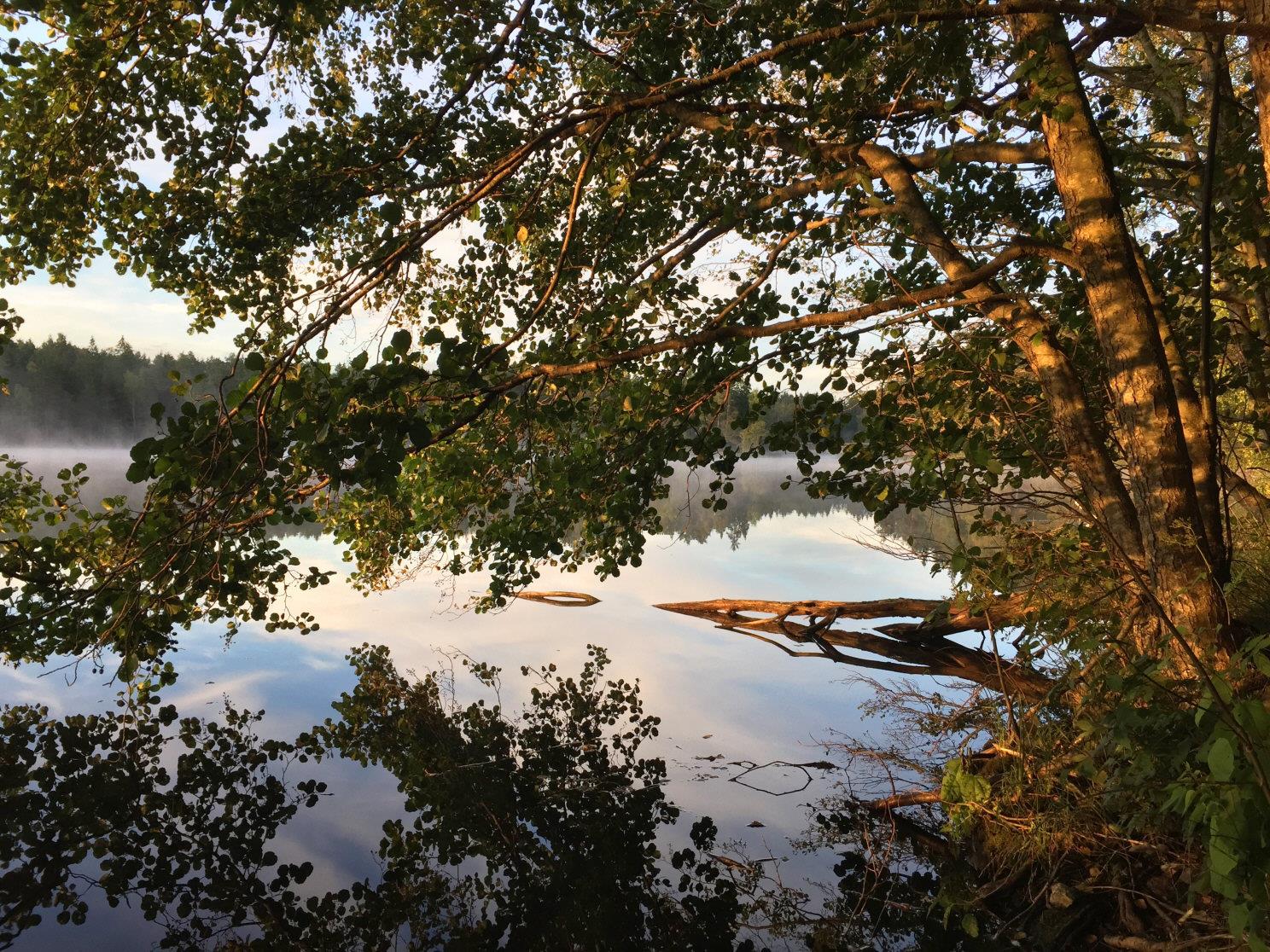 Äntligen är ett av få 1-plans gavelradhus på 89 kvm till salu!