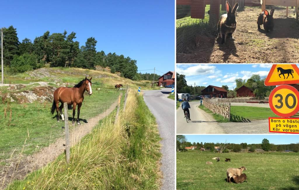 Välskött radhus med stor vacker trädgårdstomt, fint kök och vacker eldstad